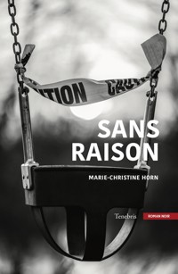 Sans raison - Marie-Christine Horn - E-Book