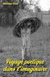 Voyage poétique dans l'imaginaire - Severine CARL - E-Book