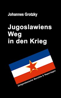 Jugoslawiens Weg in den Krieg - Johannes Grotzky - E-Book