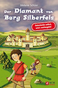 Der Diamant von Burg Silberfels - Melanie Schüer - E-Book