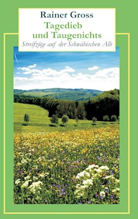 Tagedieb und Taugenichts - Rainer Gross - E-Book