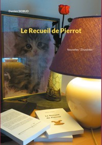 Le Recueil de Pierrot - Damien Siobud - E-Book