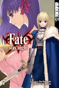 Fate/stay night - Einzelband 07 - Dat NISHIWAKI - E-Book
