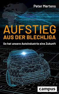 Aufstieg aus der Blechliga - Peter Mertens - E-Book