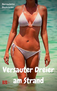 Versauter Dreier am Strand - Bernadette Binkowski - E-Book