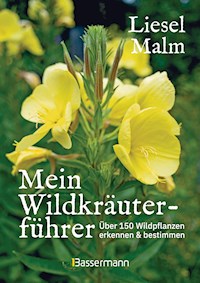 Mein Wildkräuterführer. Über 150 Wildpflanzen sammeln, erkennen & bestimmen. - Liesel Malm - E-Book