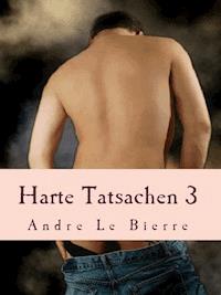 Harte Tatsachen 3 - Andre Le Bierre - E-Book