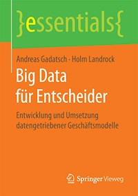 Big Data für Entscheider - Andreas Gadatsch - E-Book