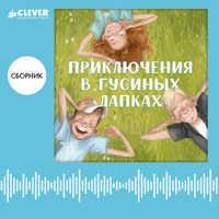 Приключения в Гусиных лапках. Сборник - Андрей Снесарь - Hörbuch