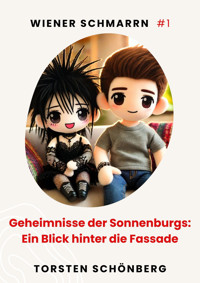 Geheimnisse der Sonnenburgs: Ein Blick hinter die Fassade - Torsten Schönberg - E-Book