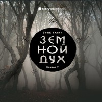 Серия 7 - Земной дух - Эрик Тулин - Hörbuch