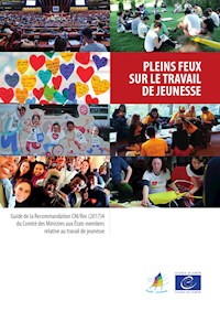 Pleins feux sur le travail de jeunesse - Nik Paddison - E-Book