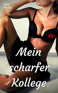 Mein scharfer Kollege - Lissy Feucht - E-Book