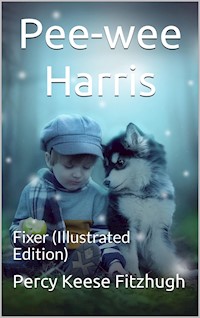 Pee-wee Harris: Fixer - Percy Keese Fitzhugh - E-Book