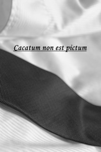 Cacatum non est pictum - Askson Vargard - E-Book