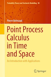 Point Process Calculus in Time and Space - Pierre Brémaud - E-Book