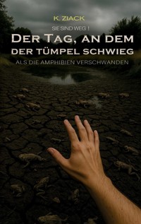 Sie sind weg - K. Ziack - E-Book