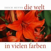 Die Welt in vielen Farben - Erich Meyer - E-Book