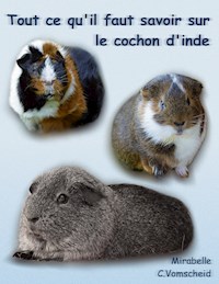 Tout ce qu'il faut savoir sur le cochon d'inde (nouvelle édition) - Mirabelle C. Vomscheid - E-Book