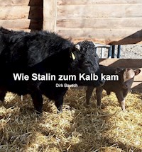 Wie Stalin zum Kalb kam - Dirk Bausch - E-Book