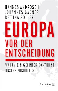 Europa vor der Entscheidung - Johannes Gadner - E-Book