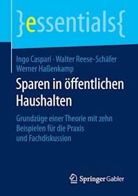 Sparen in öffentlichen Haushalten - Ingo Caspari - E-Book