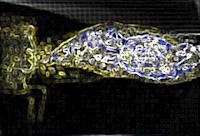 Aphorismen, Gedichte und Kurzgeschichten - Alexandra Caragata - E-Book