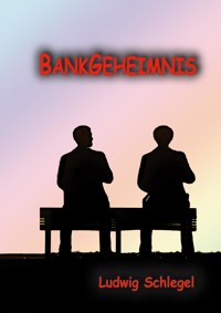 Bankgeheimnis - Ludwig Schlegel - E-Book