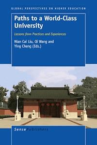 Paths to a World-Class University - Qi Wang - E-Book