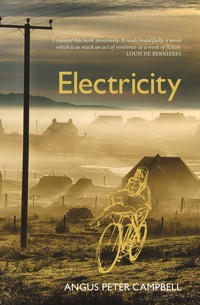Electricity - Angus Peter Campbell - E-Book
