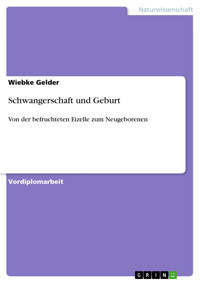 Schwangerschaft und Geburt - Wiebke Gelder - E-Book