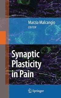 Synaptic Plasticity in Pain -  - E-Book