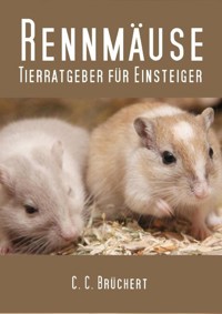 Tierratgeber für Einsteiger - Rennmäuse - C. C. Brüchert - E-Book