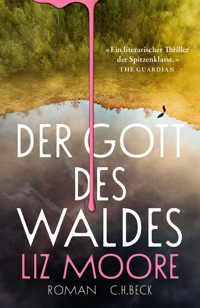Der Gott des Waldes - Liz Moore - E-Book