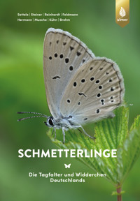 Schmetterlinge - Josef Settele - E-Book