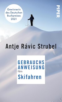 Gebrauchsanweisung fürs Skifahren - Antje Rávik Strubel - E-Book