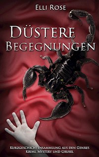 Düstere Begegnungen - Elli Rose - E-Book