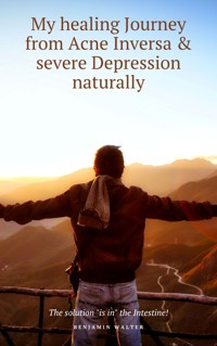 My healing Journey from Acne Inversa & severe Depression naturally - Benjamin Walter - E-Book