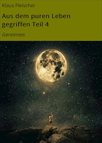 Aus dem puren Leben gegriffen Teil 4 - Klaus Fleischer - E-Book