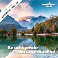 Beruhigende Naturgeräusche mit entspannender Musik. Ideal zum Einschlafen, Meditieren, Lernen und gegen Stress -  - Hörbuch