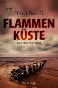 Flammenküste - Birgit Böckli - E-Book