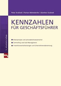 Kennzahlen für Geschäftsführer - Florian Böhmdorfer - E-Book