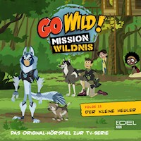 Folge 11: Der kleine Heuler / Der Gecko Effekt (Das Original Hörspiel zur TV-Serie) - Thomas Karallus - Hörbuch