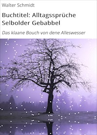 Buchtitel: Alltagssprüche Selbolder Gebabbel - Walter Schmidt - E-Book