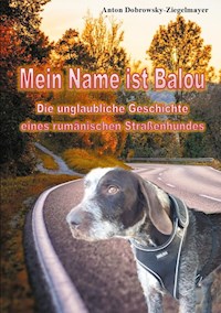 Mein Name ist Balou - Anton Dobrowsky-Ziegelmayer - E-Book