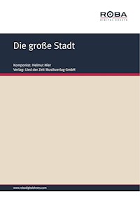 Die große Stadt - Helmut Nier - E-Book