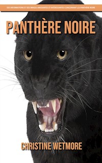 Panthère Noire – Des Informations et des Images Amusantes et Intéressantes concernant les Panthère Noire - Christine Wetmore - E-Book