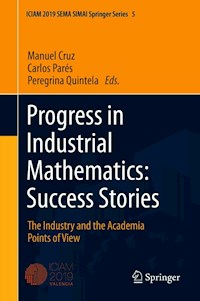 Progress in Industrial Mathematics: Success Stories - - E-Book