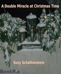 A Double Miracle at Christmas Time - Susy Schattenstein - E-Book