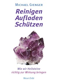 Reinigen - Aufladen - Schützen - Michael Gienger - E-Book